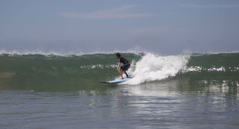 A person rides a wave on a surfboard 